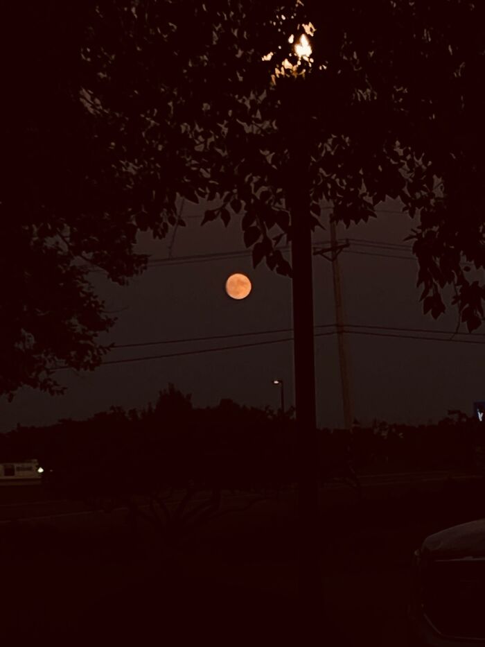 A Pic I Took At Night. I Think It Looks Pretty Cool