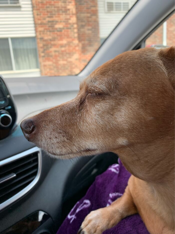 My Old Man. He’s 13