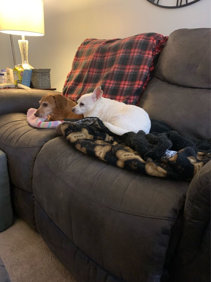 My Old Man And Girl. Both 13