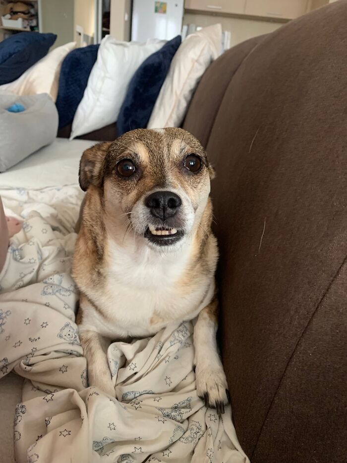 Drobinka - It Is A Translation As A Little Crumb. ❤️