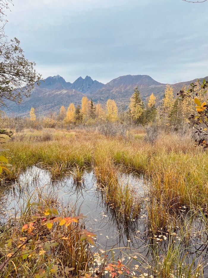 Autumn Jn The Mountains, Alaska