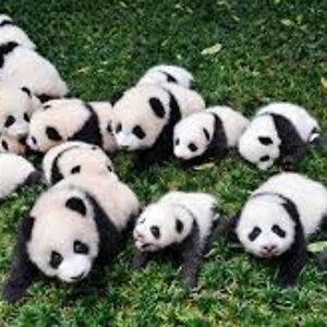 carrie-mobeck avatar