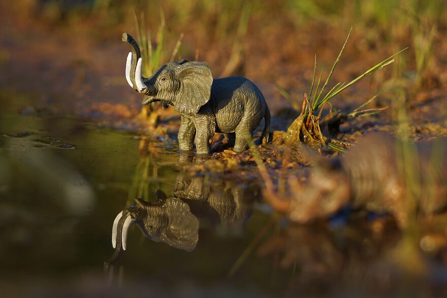 Mother Of 2 Captures The Magic World Of Toys During Quarantine