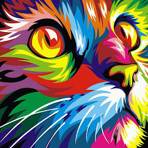 o_donnellsteph avatar