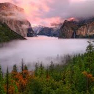 abigailwilliams_3 avatar