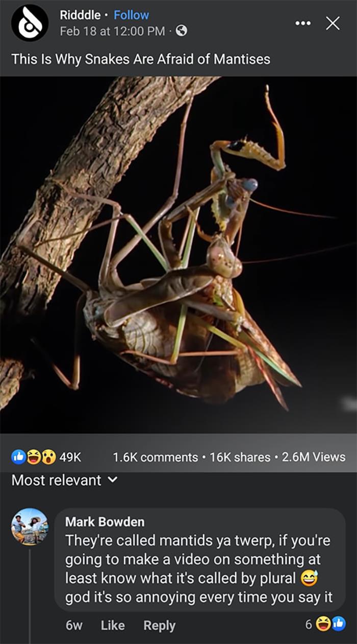 Incorrectly-Correcting-Other-People