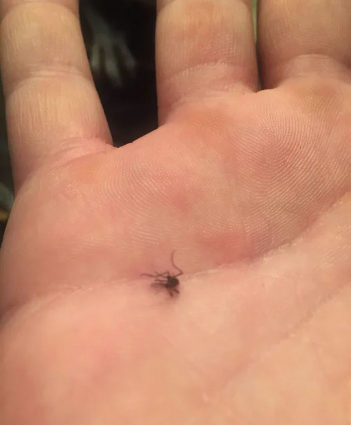 Summertime Justice Served Hot