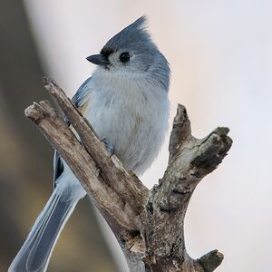 reedmillerbetts avatar