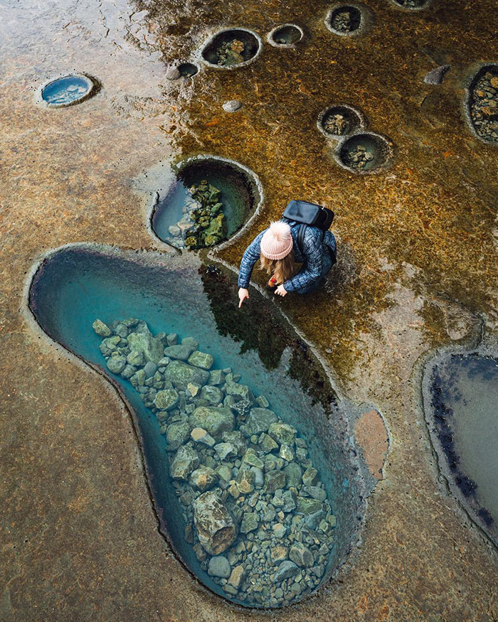 Like Walking On Another Planet. Mesmerized By The Beauty Of The Tidal Pools At Botanical Beach