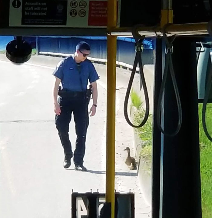Officer Escorting Ducks Off A Bridge In Vancouver. We Waited For 15 Minutes. If This Is The Cost Of Being Late, So Be It