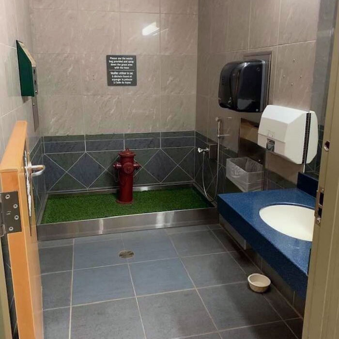 The Service Dog Bathroom At The Kelowna, British Columbia, Canada Airport