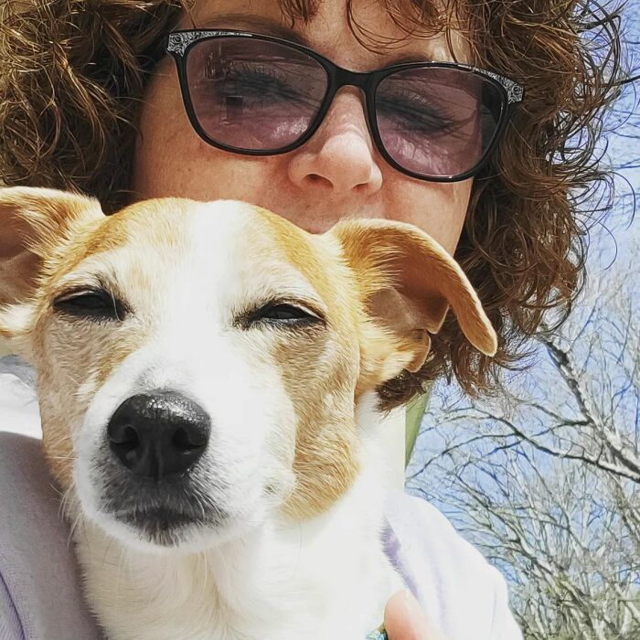 My 13 Year Old, Rusty, Hanging In There With Congestive Heart Failure