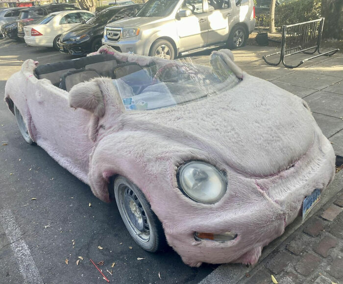Messed-Up-Looking-Cars