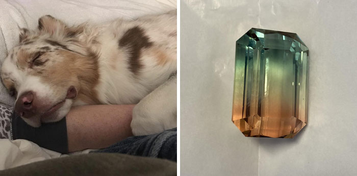 30 Cosas “bastante interesantes” halladas en la naturaleza que te sorprenderán (nuevas imágenes)