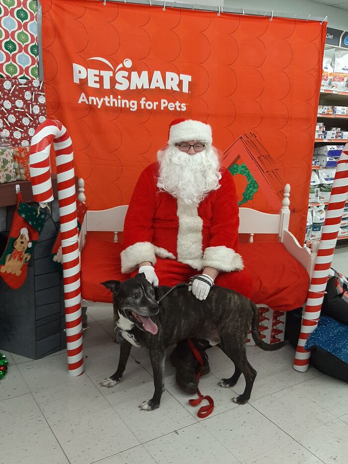 Mojo, 14, Rescued At 4 Weeks, Throwing Up Hot Dogs They Tried To Feed Him