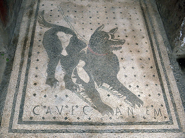 In What Might Be The Oldest Known “Beware Of Dog” Sign