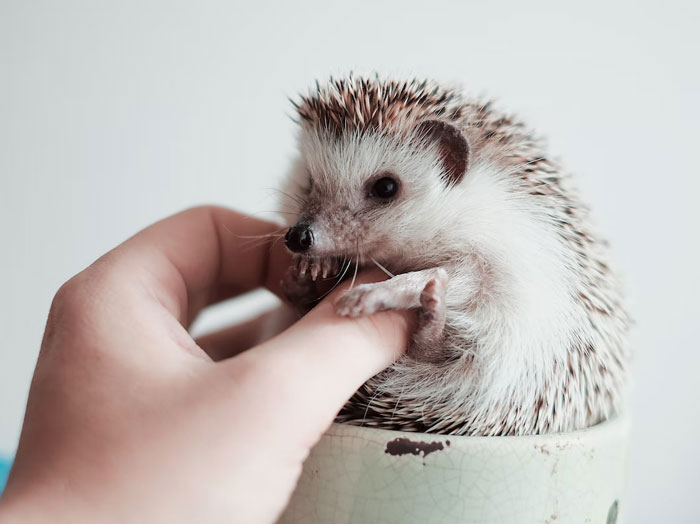 30 Teachers Say What Meeting With The Parents Was Most Memorable