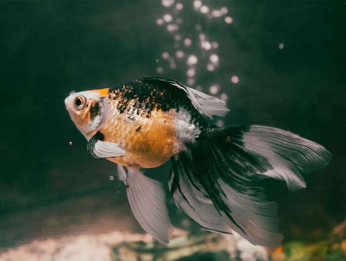 30 Common Myths That People Have To Finally Stop Believing