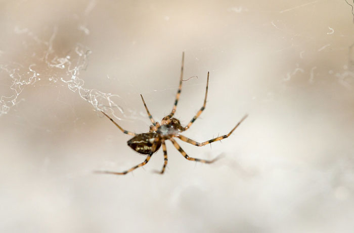 30 Common Myths That People Have To Finally Stop Believing