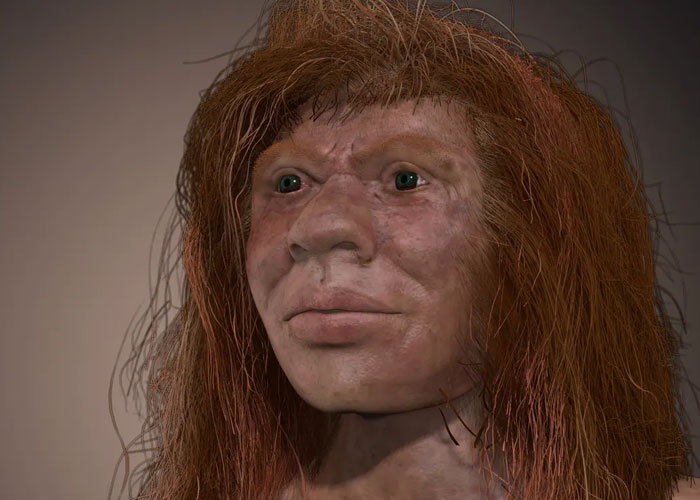 "Today I Learned": 50 Curious Things About The World People Didn’t Learn At School (New Posts)