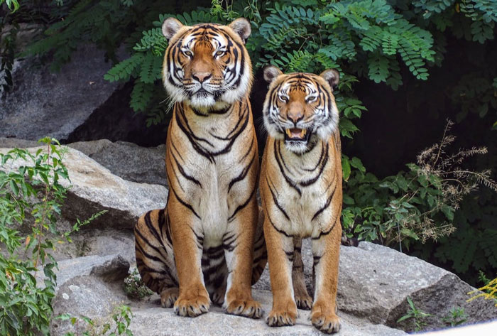 Someone Wonders: "In 50 Years, What Will People Be Nostalgic For?" And 50 People Give Answers