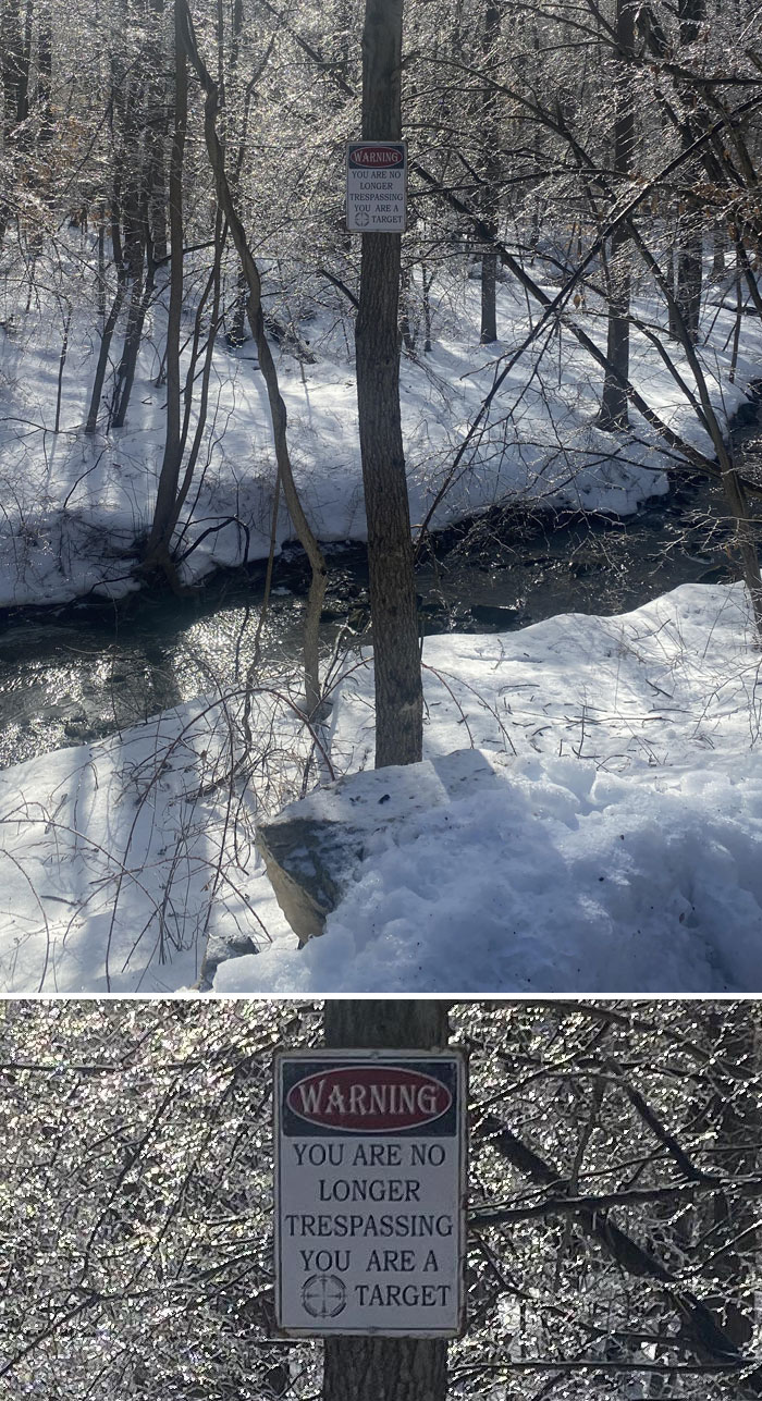 Random Sign In The Woods