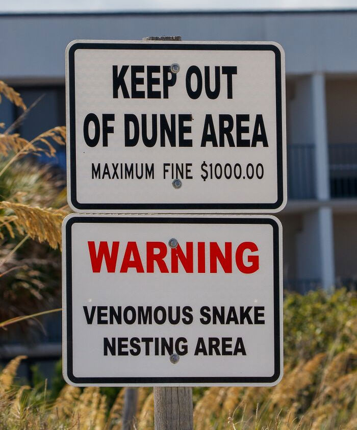 Top One Seems Like Overkill