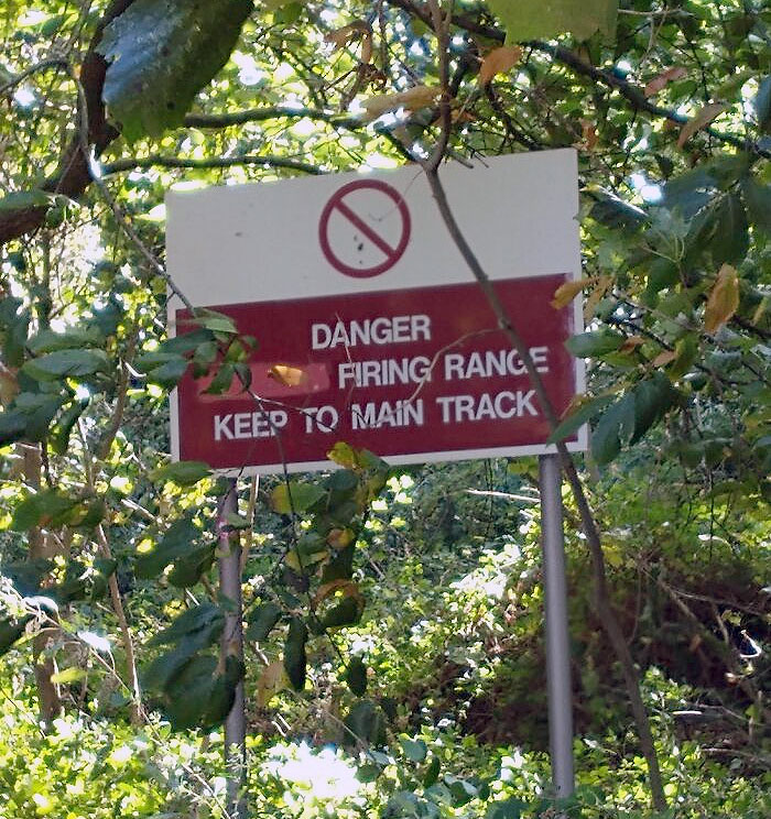 A Fun Sign To Find In The Middle Of A Forest