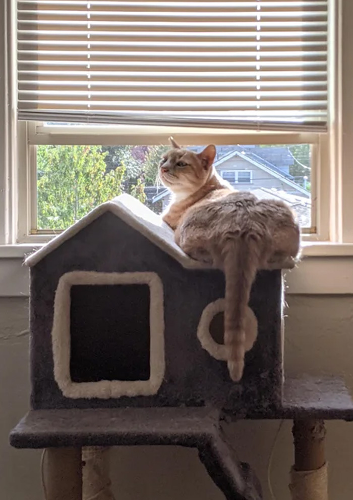 My Boy's Got A Big Ole Booty