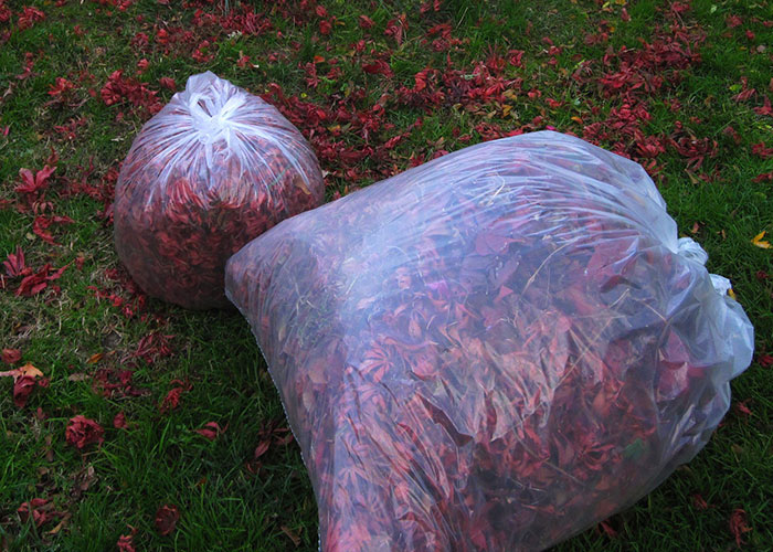 30 People Share The Funniest Things They’ve Heard Their Partners Say In Their Sleep