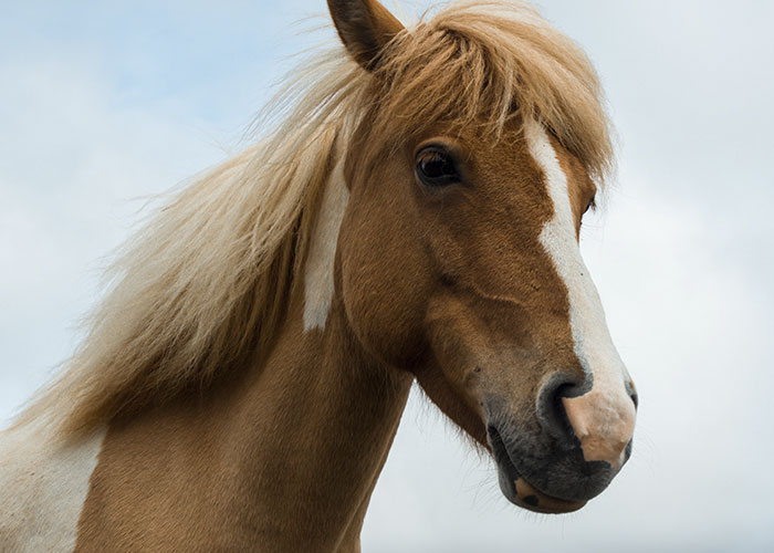 30 People Share The Funniest Things They’ve Heard Their Partners Say In Their Sleep