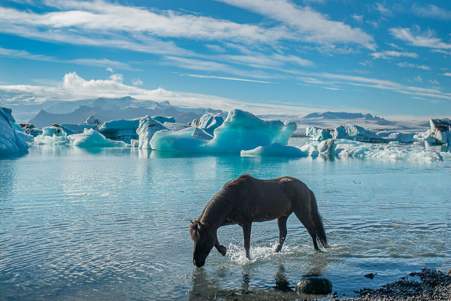 Úlfur Exploring Jökulsárlón Glacier Lagoon