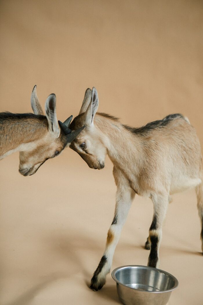 Viral Thread Has Adults Listing Various Things Modern-Day Teenagers Are Not Ready To Hear (40 Things)