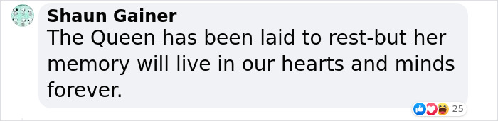 Heartbreaking Moment Of Queen Elizabeth II&rsquo;s Corgis And Her Favorite Pony Awaiting The Arrival Of Her Coffin At Windsor Castle