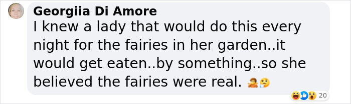 Woman Makes Gourmet Meals For A Mouse That Lives In Her Wall, Goes Viral On TikTok With More Than 18M Views