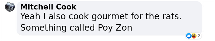 Woman Makes Gourmet Meals For A Mouse That Lives In Her Wall, Goes Viral On TikTok With More Than 18M Views