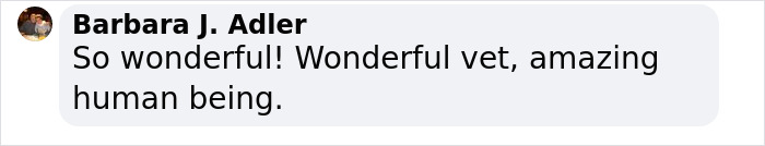 Senior Dog Returned To Shelter After 12 Years To Be Put Down Is Now Living Her Best Life After Vet Adopts Her Senior Dog Returned To Shelter After 12 Years To Be Put Down Is Now Living Her Best Life After Vet Adopts Her