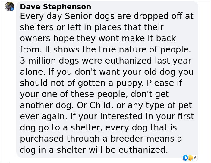 Senior Dog Returned To Shelter After 12 Years To Be Put Down Is Now Living Her Best Life After Vet Adopts Her Senior Dog Returned To Shelter After 12 Years To Be Put Down Is Now Living Her Best Life After Vet Adopts Her
