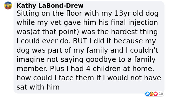 Senior Dog Returned To Shelter After 12 Years To Be Put Down Is Now Living Her Best Life After Vet Adopts Her Senior Dog Returned To Shelter After 12 Years To Be Put Down Is Now Living Her Best Life After Vet Adopts Her