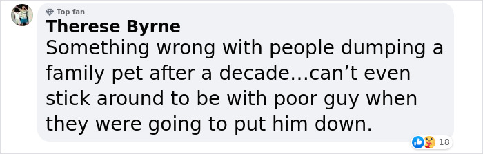 Senior Dog Returned To Shelter After 12 Years To Be Put Down Is Now Living Her Best Life After Vet Adopts Her Senior Dog Returned To Shelter After 12 Years To Be Put Down Is Now Living Her Best Life After Vet Adopts Her