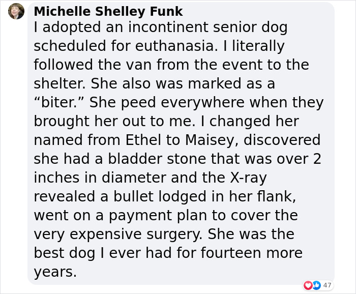 Senior Dog Returned To Shelter After 12 Years To Be Put Down Is Now Living Her Best Life After Vet Adopts Her Senior Dog Returned To Shelter After 12 Years To Be Put Down Is Now Living Her Best Life After Vet Adopts Her
