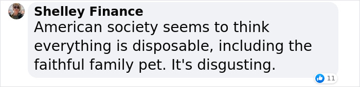 Senior Dog Returned To Shelter After 12 Years To Be Put Down Is Now Living Her Best Life After Vet Adopts Her Senior Dog Returned To Shelter After 12 Years To Be Put Down Is Now Living Her Best Life After Vet Adopts Her