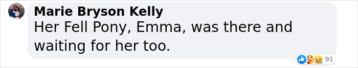 Heartbreaking Moment Of Queen Elizabeth II&rsquo;s Corgis And Her Favorite Pony Awaiting The Arrival Of Her Coffin At Windsor Castle