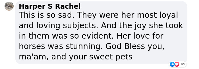 Heartbreaking Moment Of Queen Elizabeth II&rsquo;s Corgis And Her Favorite Pony Awaiting The Arrival Of Her Coffin At Windsor Castle