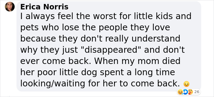 Heartbreaking Moment Of Queen Elizabeth II&rsquo;s Corgis And Her Favorite Pony Awaiting The Arrival Of Her Coffin At Windsor Castle