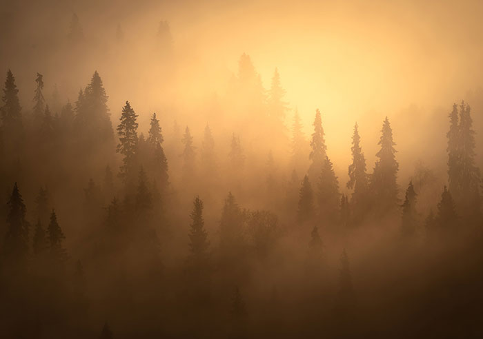 I Captured Finland’s Extraordinary Wilderness (23 Pics)