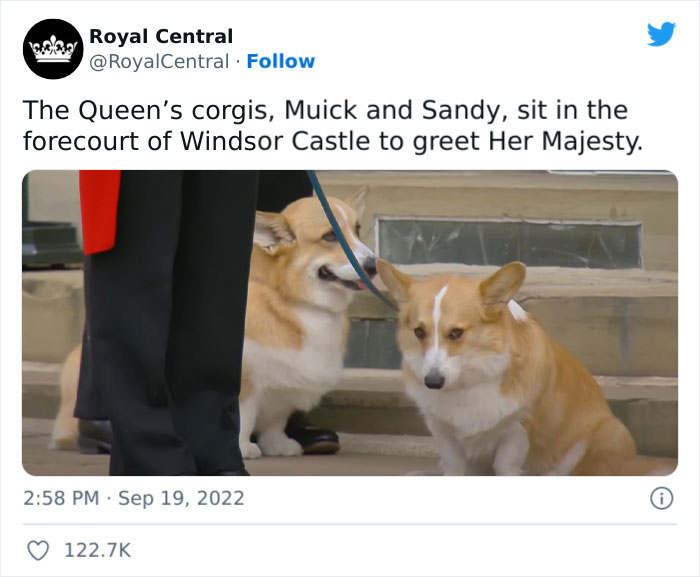 Heartbreaking Moment Of Queen Elizabeth II&rsquo;s Corgis And Her Favorite Pony Awaiting The Arrival Of Her Coffin At Windsor Castle