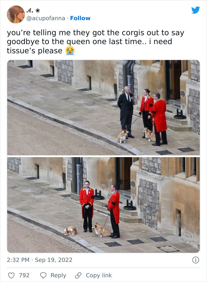 Heartbreaking Moment Of Queen Elizabeth II&rsquo;s Corgis And Her Favorite Pony Awaiting The Arrival Of Her Coffin At Windsor Castle
