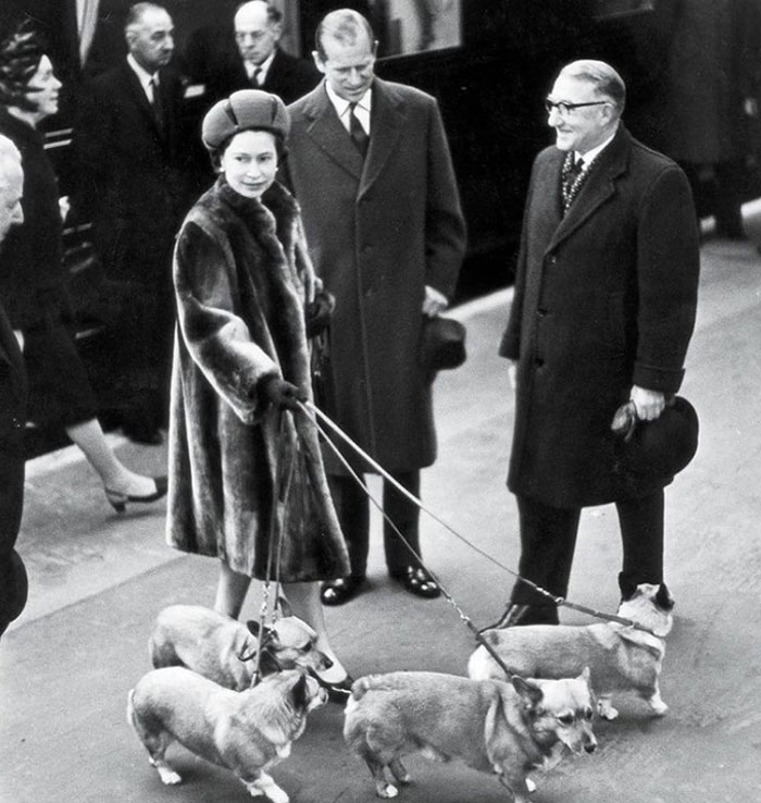 Heartbreaking Moment Of Queen Elizabeth II&rsquo;s Corgis And Her Favorite Pony Awaiting The Arrival Of Her Coffin At Windsor Castle