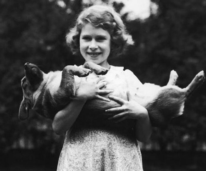 Heartbreaking Moment Of Queen Elizabeth II&rsquo;s Corgis And Her Favorite Pony Awaiting The Arrival Of Her Coffin At Windsor Castle